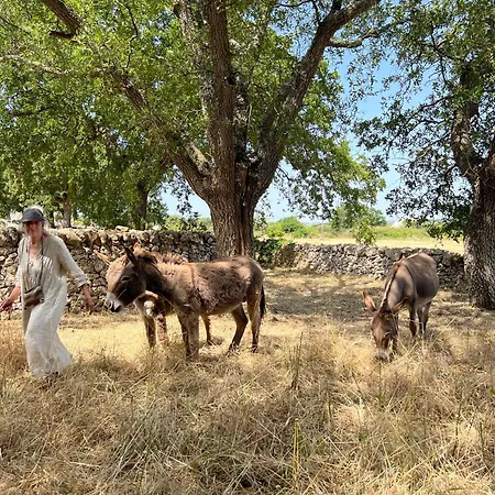 Trullo Guardiano Cisternino